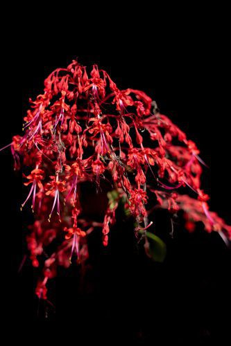 Maria Torija Espiral-23