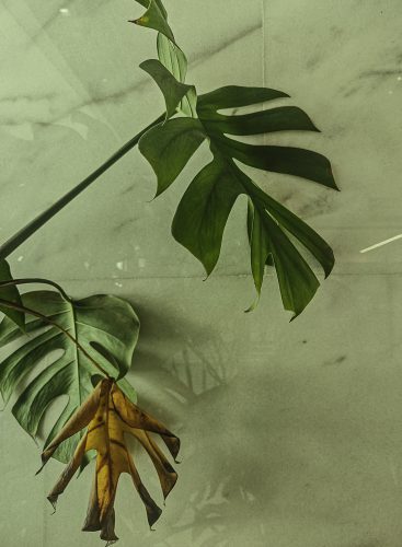 Maria Torija Espiral-24