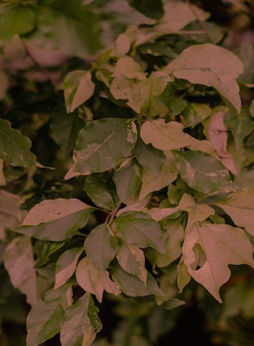 Maria Torija Espiral-26