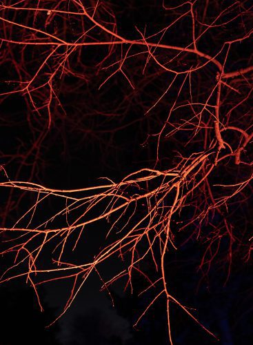 Maria Torija Espiral-9