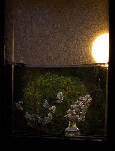 Foto: Oihana Garitano