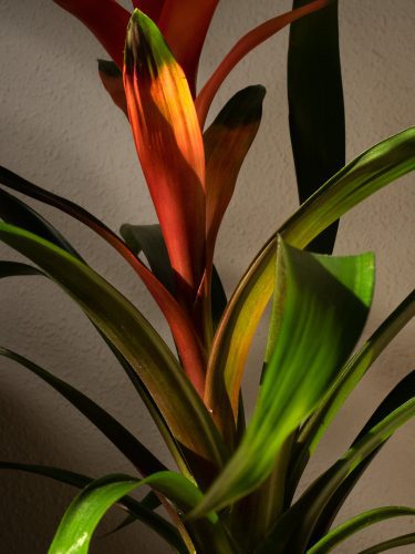 Foto: Oihana Garitano