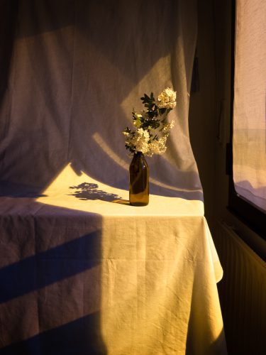 Foto: Oihana Garitano