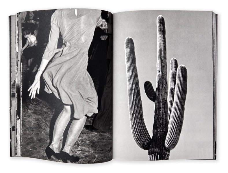 Páginas interiores del libro Omen mostrando recortes y detalles de las fotografías clásicas de la FSA