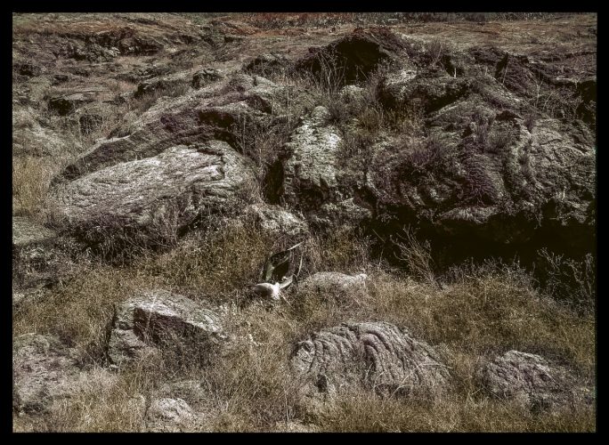 Páginas interiores del fotolibro Pedregal mostrando el paisaje de piedra volcánica capturado por Manuel Álvarez Bravo.