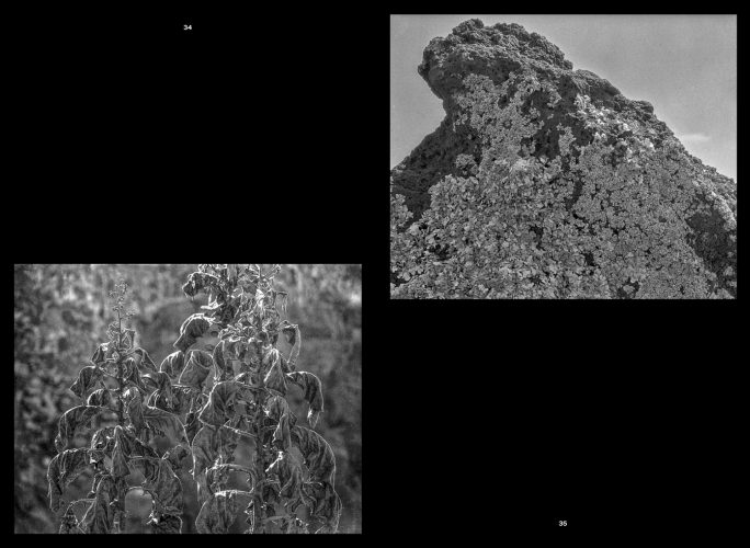 Páginas interiores del fotolibro Pedregal mostrando el paisaje de piedra volcánica capturado por Manuel Álvarez Bravo.