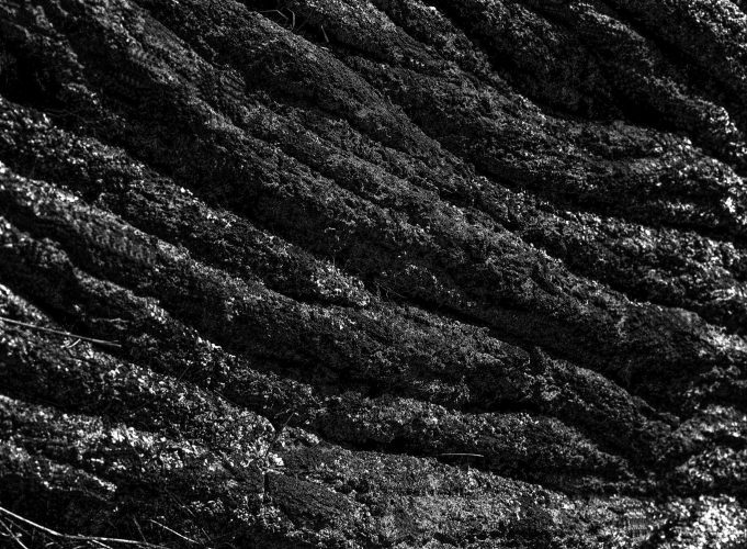 Páginas interiores del fotolibro Pedregal mostrando el paisaje de piedra volcánica capturado por Manuel Álvarez Bravo.