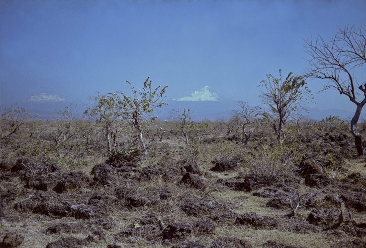 Páginas interiores del fotolibro Pedregal mostrando el paisaje de piedra volcánica capturado por Manuel Álvarez Bravo.