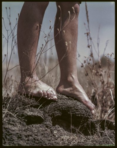 Páginas interiores del fotolibro Pedregal mostrando el paisaje de piedra volcánica capturado por Manuel Álvarez Bravo.