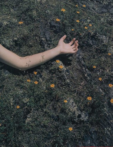 Páginas interiores del fotolibro Pedregal mostrando el paisaje de piedra volcánica capturado por Manuel Álvarez Bravo.