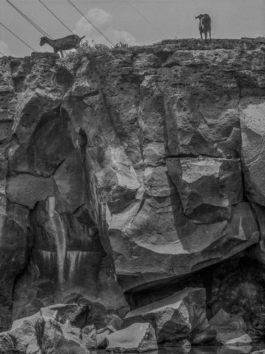 Páginas interiores del fotolibro Pedregal mostrando el paisaje de piedra volcánica capturado por Manuel Álvarez Bravo.