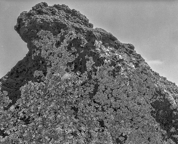 Páginas interiores del fotolibro Pedregal mostrando el paisaje de piedra volcánica capturado por Manuel Álvarez Bravo.