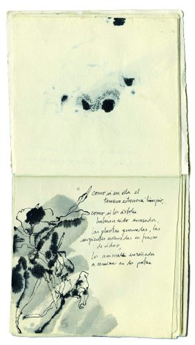 Portada del libro Cinco décadas en espiral de Magali Lara, edición bilingüe publicada por Editorial RM y MUAC