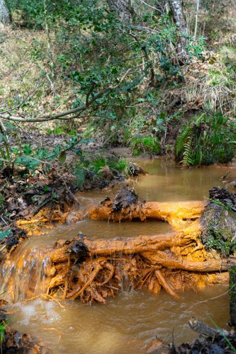 Foto: Silvia Terreros
