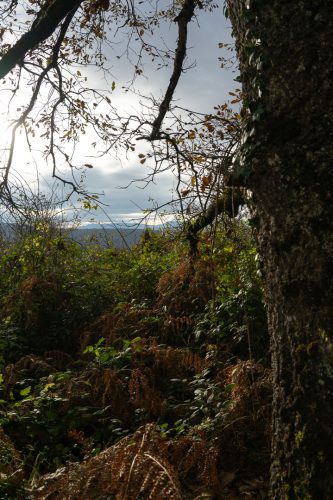 Foto: Silvia Terreros