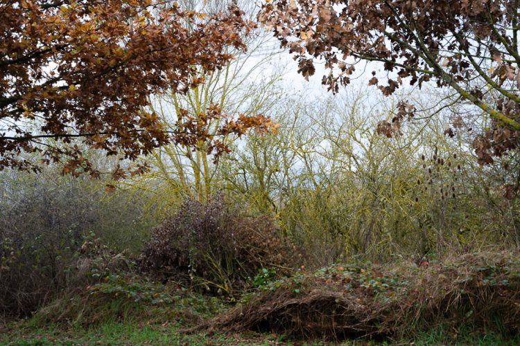 Foto: Silvia Terreros