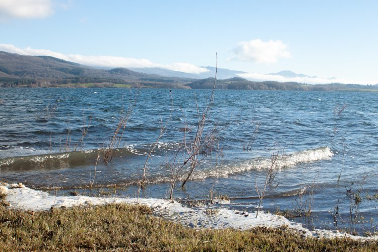 Foto: Silvia Terreros