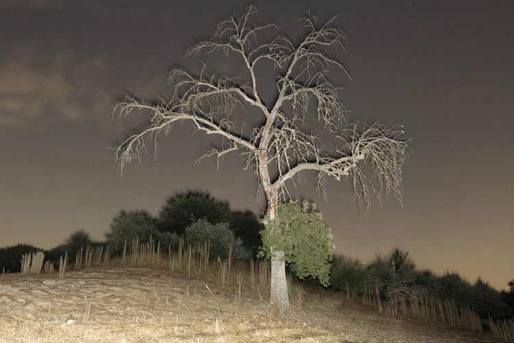 Unai Martínez San Policarpo_intermitencias-10