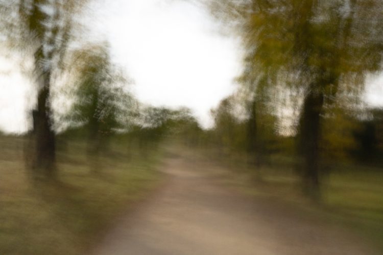 Unai Martínez San Policarpo_intermitencias-11