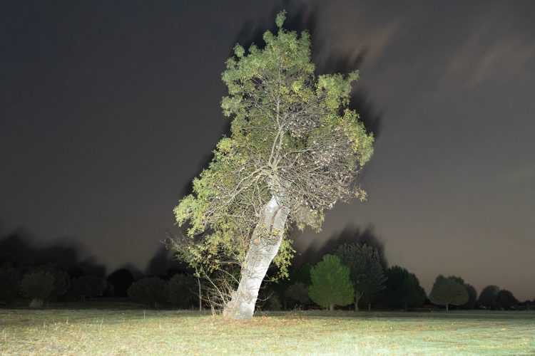 Unai Martínez San Policarpo_intermitencias-13