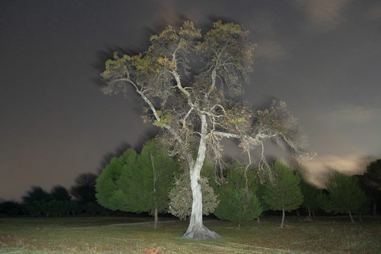 Unai Martínez San Policarpo_intermitencias-14