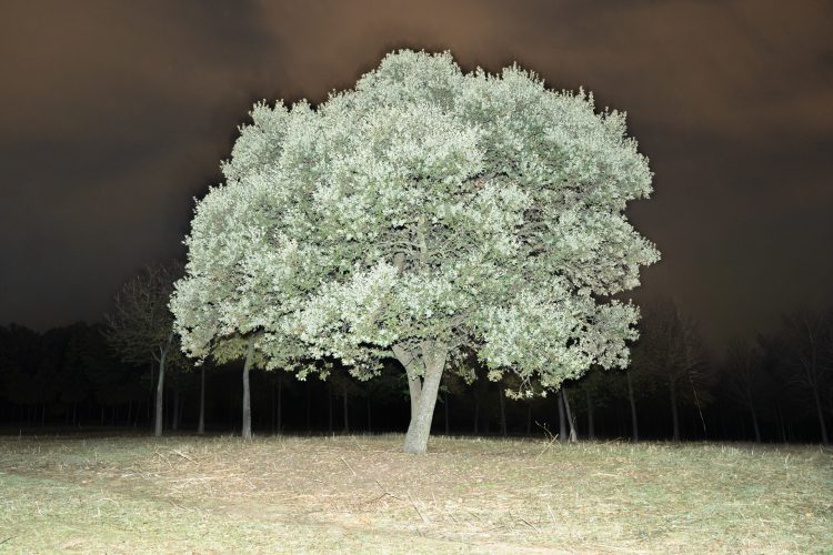 Unai Martínez San Policarpo_intermitencias-15