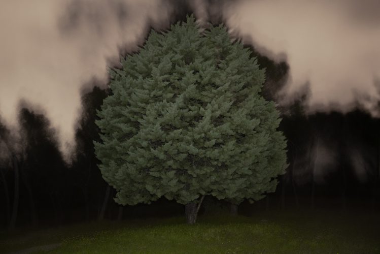 Unai Martínez San Policarpo_intermitencias-2