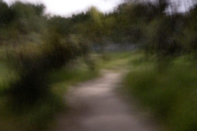 Unai Martínez San Policarpo_intermitencias-8