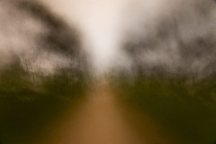 Unai Martínez San Policarpo_intermitencias-9