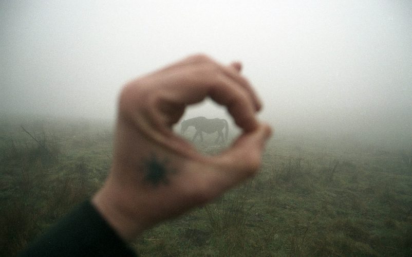 Mugalari - Marc Gassó