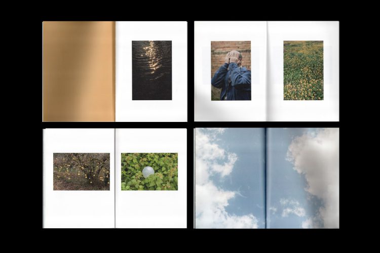 Los libros de la colección reconocidos por su diseño