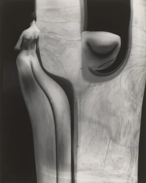 André Kertész distorsiones 2