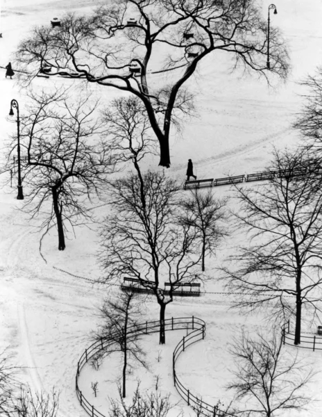 From-My-Window-kertesz