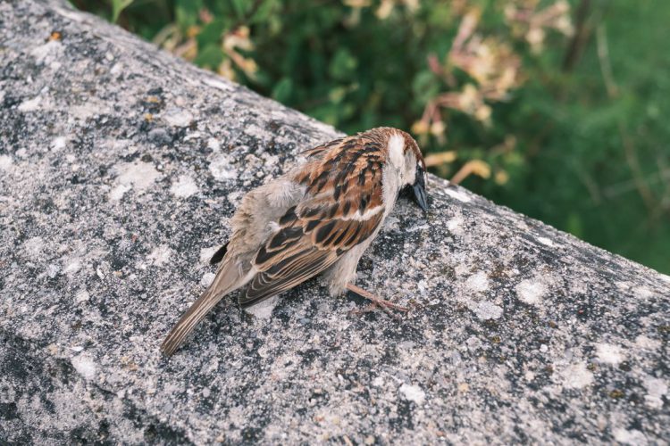 Asignatura de fotografía-8