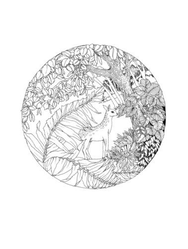 Paseo_bosque_Página_05