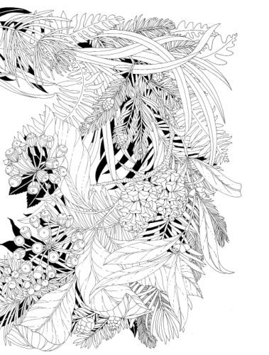 Paseo_bosque_Página_09