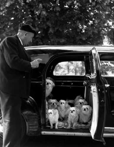 Doisneau_Paris_Página_04