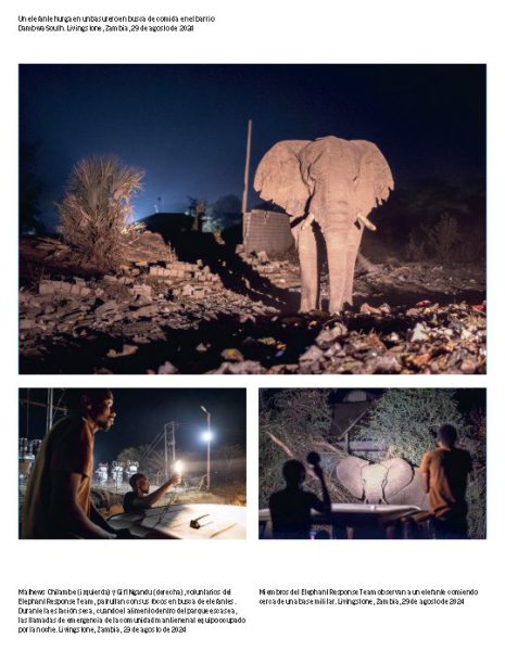 World_press_photo_2025_Página_04