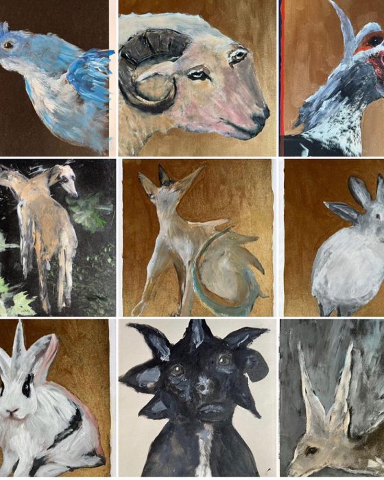 rafael doctor estela de castro 5