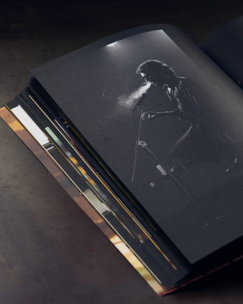 Quim Vives Saben Aquell libro jardin remoto-3