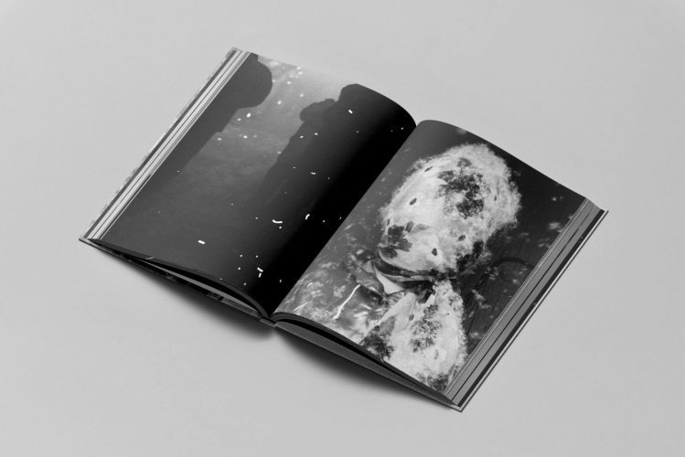 Disparatavus-CLAVERG_double_0