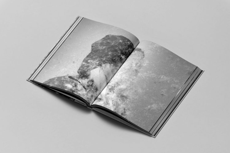 Disparatavus-CLAVERG_double_1 (1)