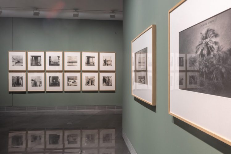 20241007-157-_54051898171_o