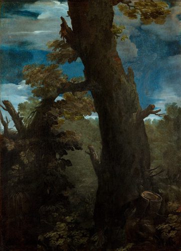 José Manuel Ballester expone arboris perennis 11