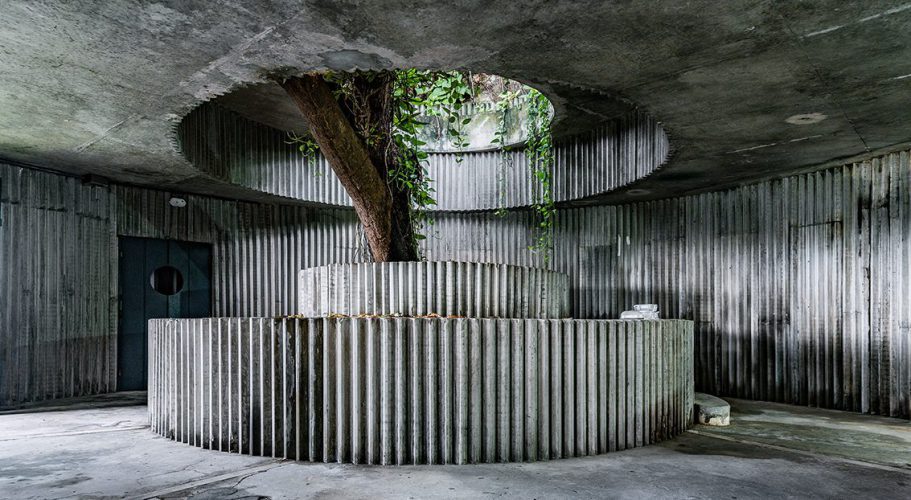 José Manuel Ballester expone arboris perennis 3