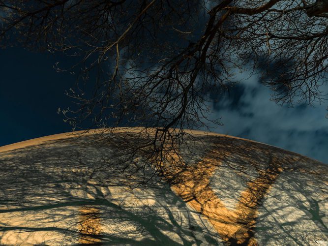 José Manuel Ballester expone arboris perennis 5