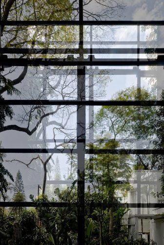 José Manuel Ballester expone arboris perennis 8