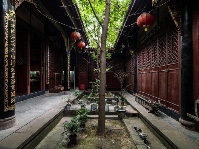 José Manuel Ballester expone arboris perennis