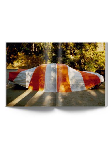 joel-meyerowitz-en-color (3)