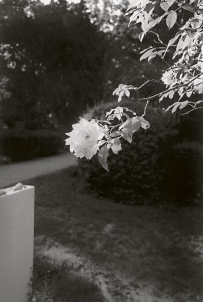 Jorge Ribalta TODO ES VERDAD FICCIONES Y DOCUMENTOS -13